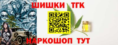 индика Аргун