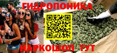 ГАЛЛЮЦИНОГЕННЫЕ ГРИБЫ Заволжье