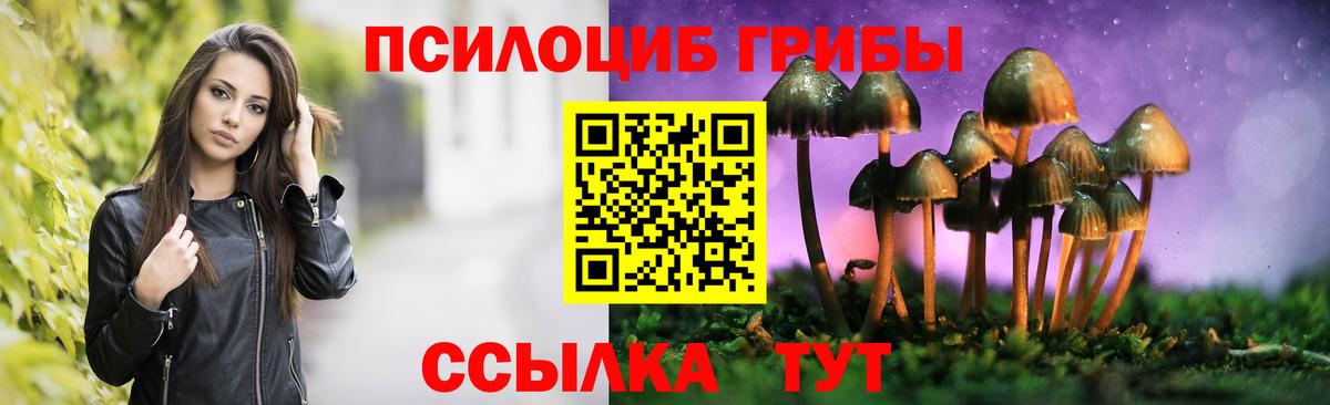 Галлюциногенные грибы ЛСД Дальнегорск