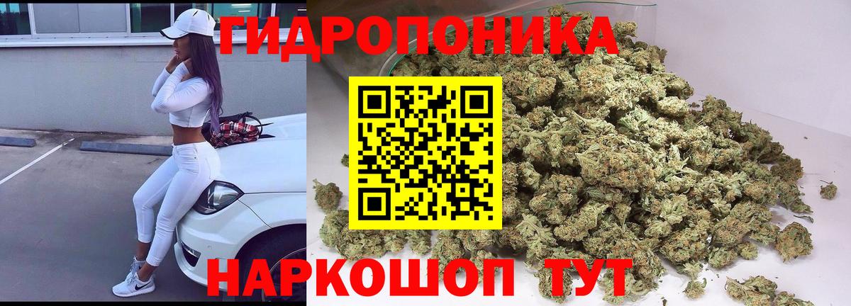 Конопля индика  Канабис планчик  Дальнегорск  Марихуана OG Kush  МАРИХУАНА MAZAR  Вход с VPN 